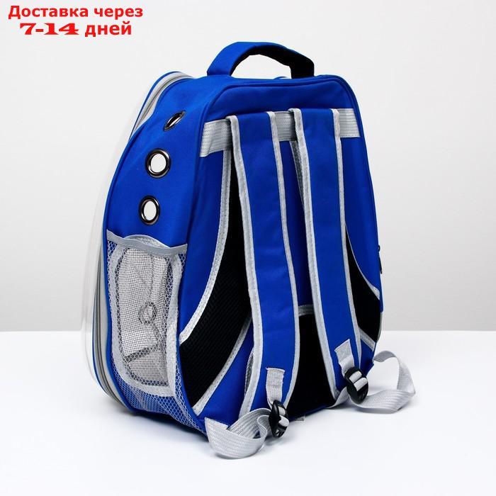 Рюкзак для переноски животных "Котик", прозрачный, 34 х 25 х 40 см, синий - фото 3 - id-p222846656