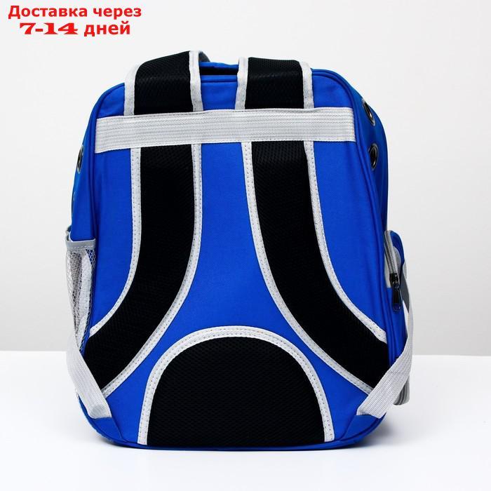 Рюкзак для переноски животных "Котик", прозрачный, 34 х 25 х 40 см, синий - фото 4 - id-p222846656