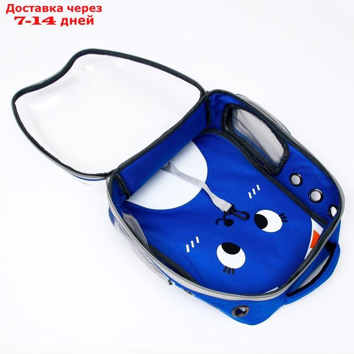 Рюкзак для переноски животных "Котик", прозрачный, 34 х 25 х 40 см, синий - фото 7 - id-p222846656