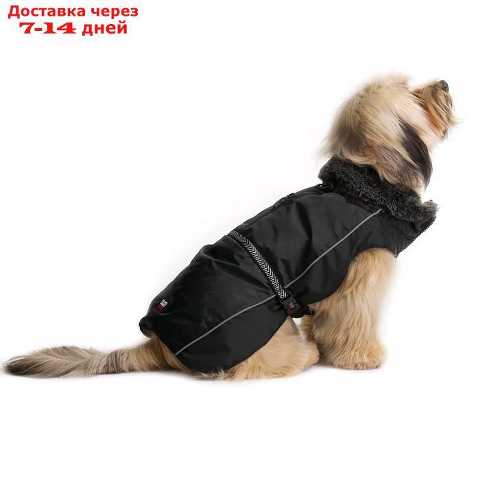 Нано куртка Dog Gone Smart Aspen parka зимняя с меховым воротником, ДС 35,5 см, чёрная - фото 1 - id-p223164525