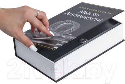 Книга-сейф Brauberg Экономическая мысль античности / 291053 - фото 3 - id-p223262916