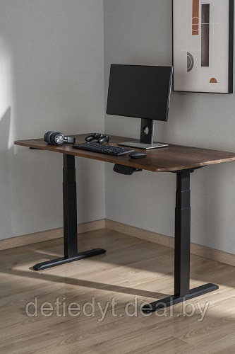 Компьютерный электрорегулируемый стол Ergo Desk Prime - фото 2 - id-p223273657