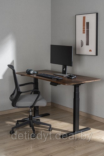 Компьютерный электрорегулируемый стол Ergo Desk Prime - фото 3 - id-p223273657