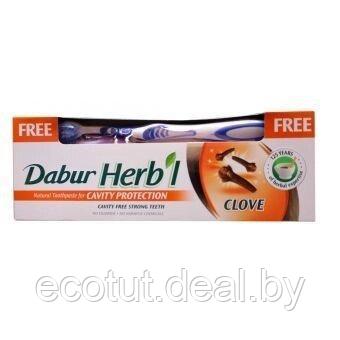 Dabur HERBL Зубная паста - гвоздика с зубной щеткой 150гр. - фото 1 - id-p31181977