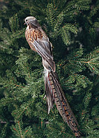 Птица фазан на прищепке, 47 см (22-358)