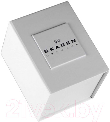 Часы наручные мужские Skagen SKW6237 - фото 3 - id-p223289927