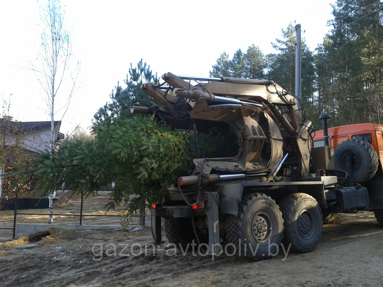 Устройство газона - фото 7 - id-p73239556