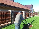 Скарификация газона. Аэрация газона. Вычесывание газона., фото 10