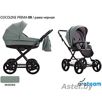 Детская коляска Aroteam Cocoline 2 в 1 PRIMA (100% экокожа) 09 рама черная