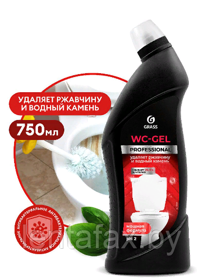 Средство чистящее для туалетных и ванных комнат "WC-gel Professional" 750мл - фото 1 - id-p144688743