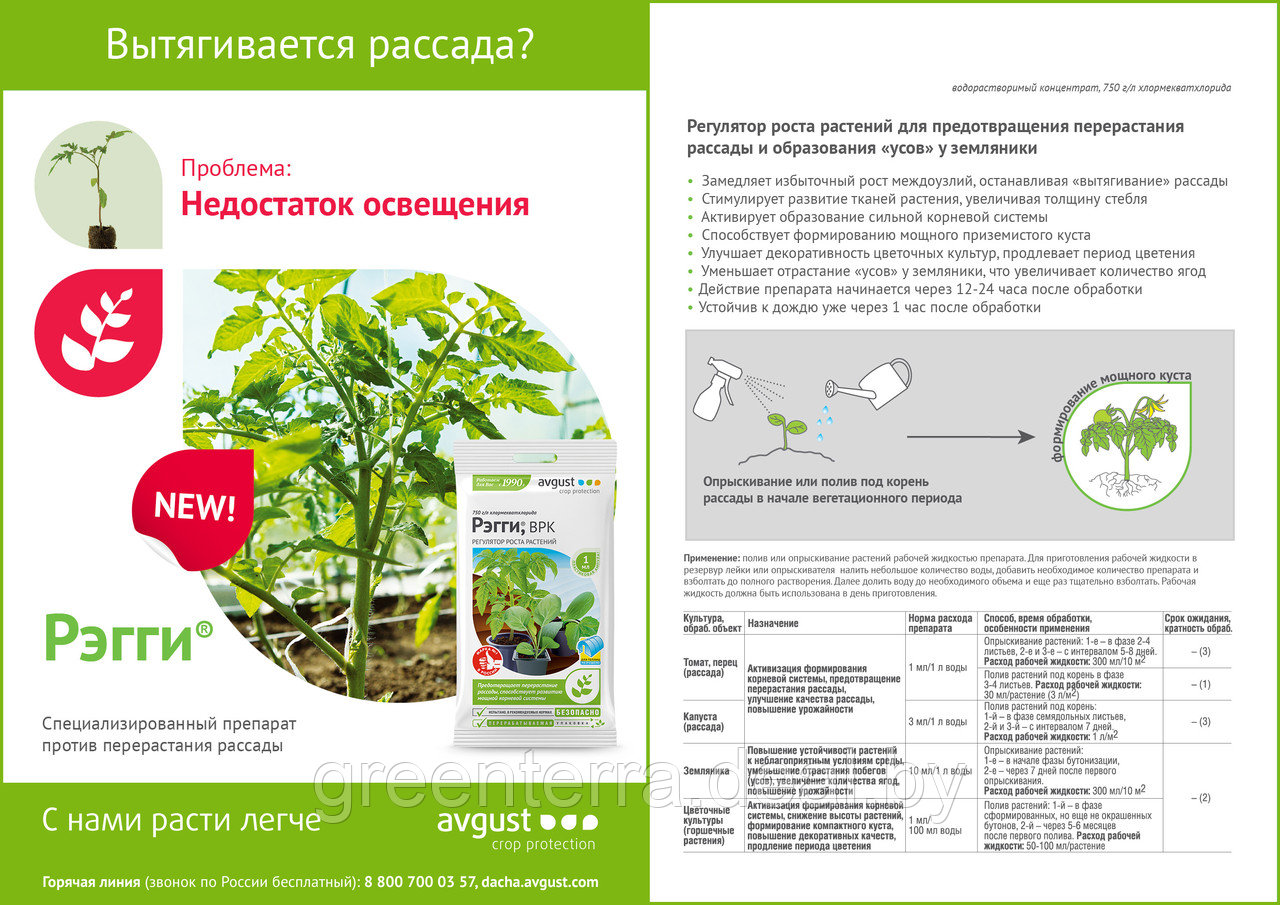 Регулятор роста растений от перерастания "Рэгги" 1мл - фото 6 - id-p223306072