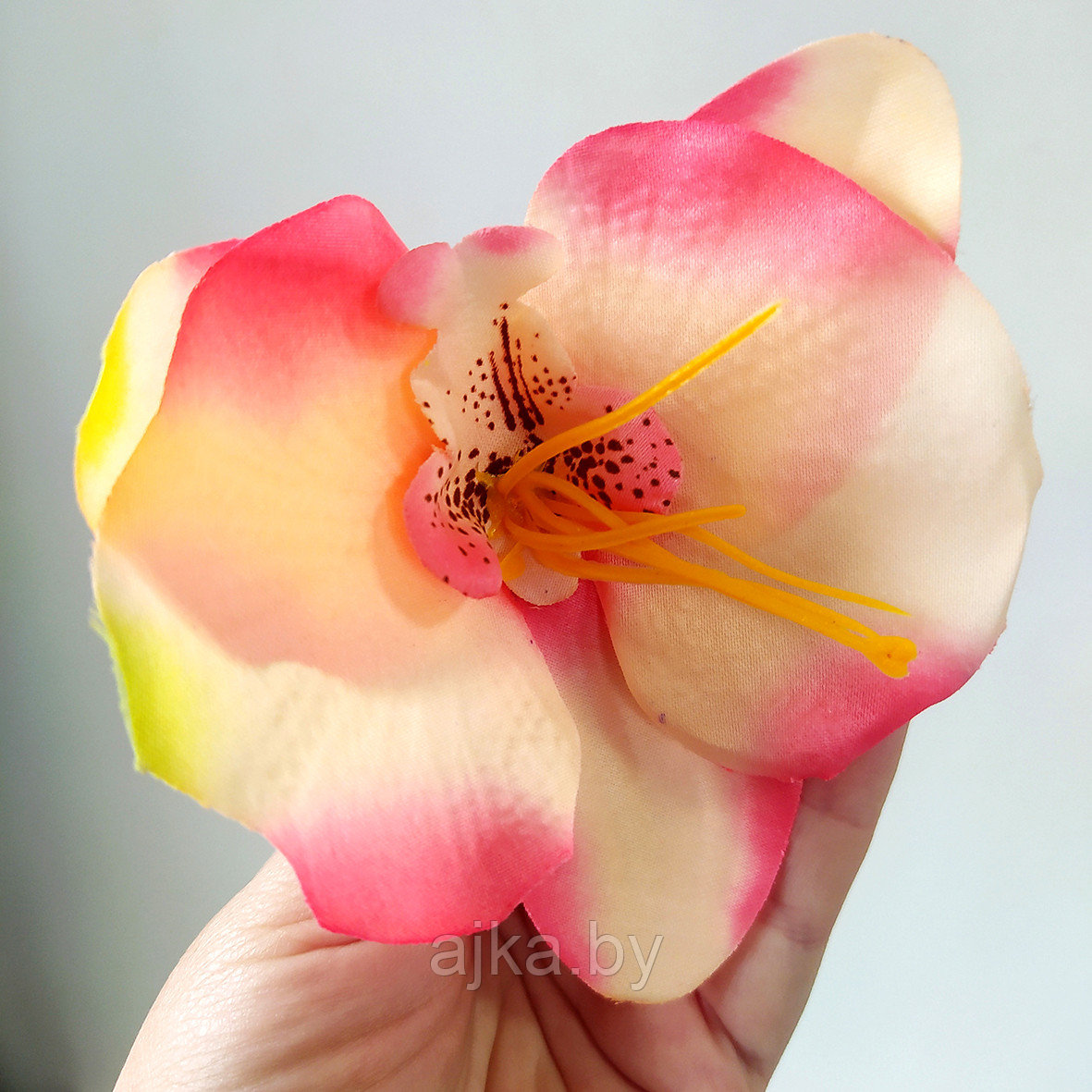 Голова орхидеи 12*10 см, кремово-розовый - фото 3 - id-p223315237