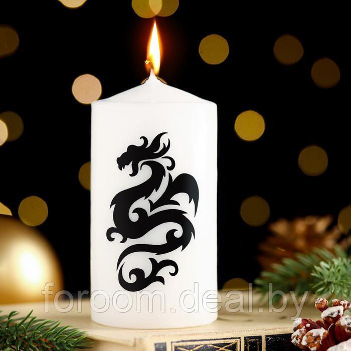 Свеча новогодняя "Символ года 2024", (d)5х(h)10см, цилиндр, белая с чёрным драконом СимаГлобал 9668608 - фото 1 - id-p223326747