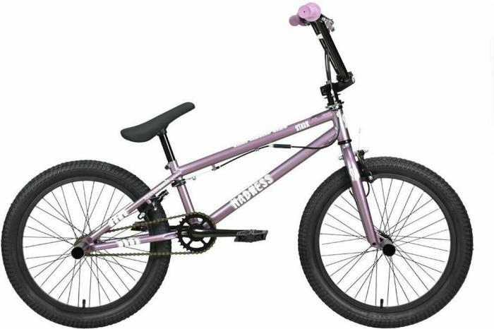 Трюковой велосипед бмх 20 дюймов для трюков триала фристайла мальчиков детей STARK Madness BMX 2 фиолетовый - фото 2 - id-p223343564