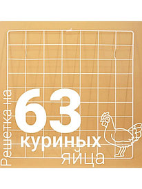 Решетка куриная на 63 яйца к инкубаторам «Несушка»,»Наседка», «БИ-2»