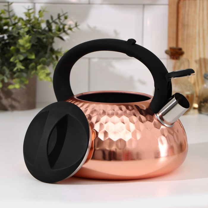 Чайник со свистком из нержавеющей стали Magistro Glow, 3 л, индукция, ручка soft-touch, цвет бронзовый - фото 2 - id-p223347131