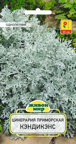 Цинерария Кэндикэнс 0,1г Живой Мир