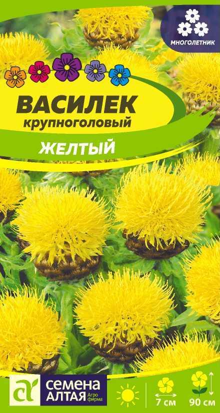 Василек Желтый Крупноголовый 0,3г Семена Алтая