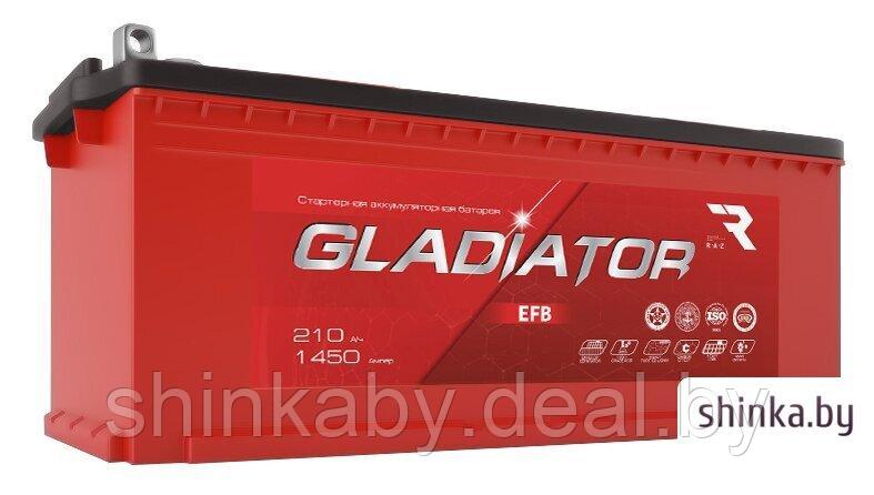 Автомобильный аккумулятор Gladiator EFB 210 (3) евро (210 А·ч) - фото 1 - id-p223356191