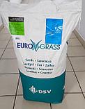Семена газонной травы DSV Special Специальная Делюкс (Special Deluxe) 10кг Германия-Дания, фото 3