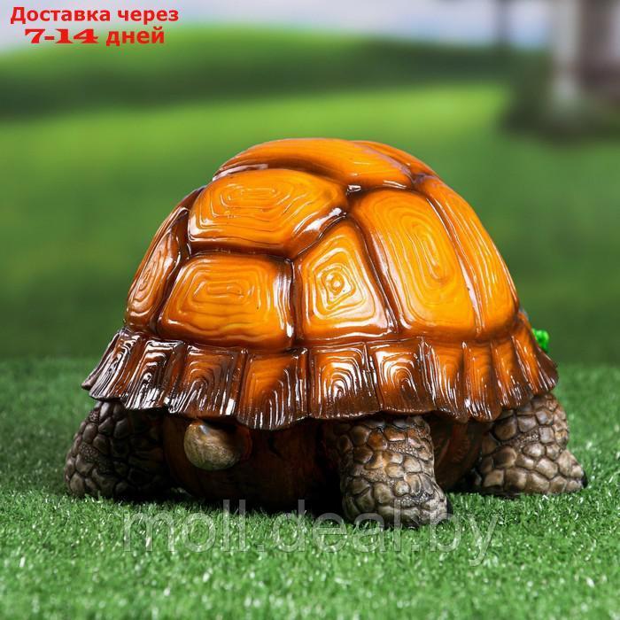 Садовая фигура "Черепаха" большая, 25х18х15см - фото 3 - id-p223339847