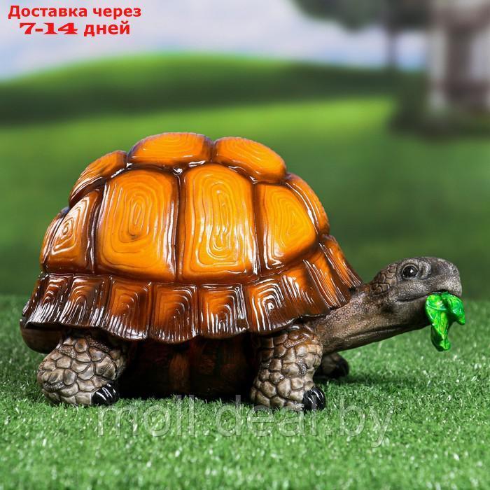 Садовая фигура "Черепаха" большая, 25х18х15см - фото 4 - id-p223339847
