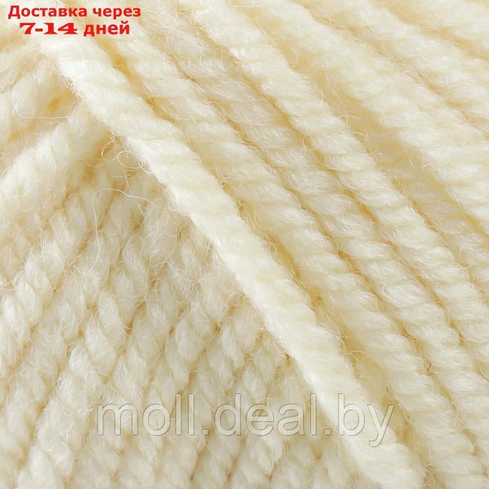 Пряжа "Shetland Chunky" 50% акрил, 50% шерсть 150м/100гр (603 молочный) - фото 3 - id-p223338827