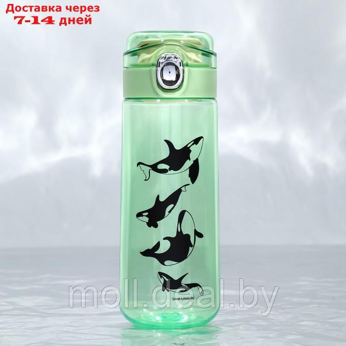 Бутылка для воды "Касатки", 520 мл - фото 1 - id-p223339023