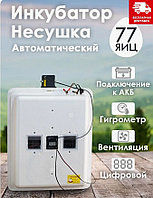 Инкубатор Несушка-77-ЭВГА+12В артикул 63Вг
