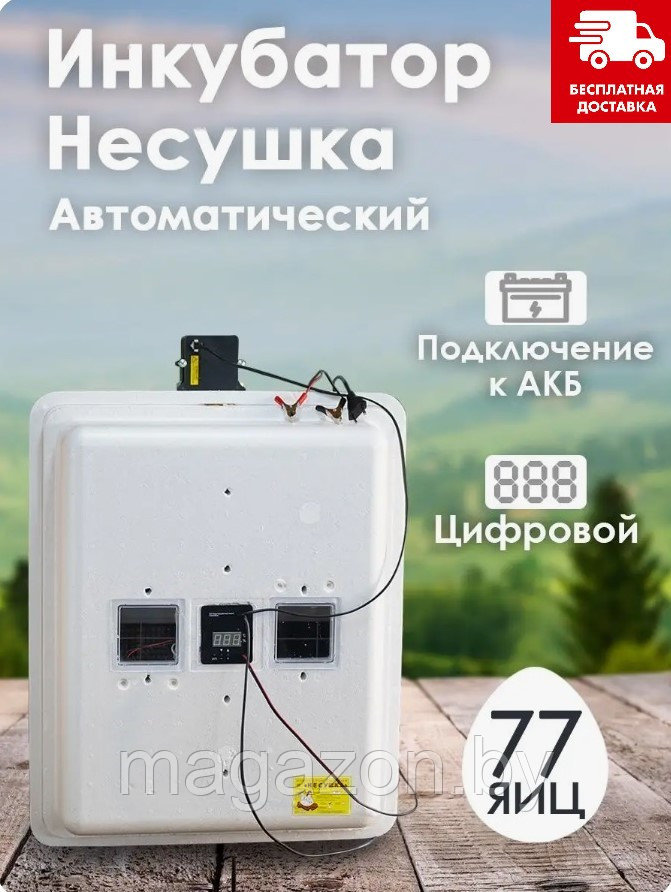 Инкубатор Несушка-77-АГ+12В артикул 76Г