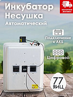 Инкубатор Несушка-77-АГ+12В артикул 76Г