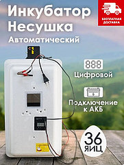 Инкубатор Несушка-36-А+12В артикул 74