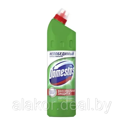 Средство универсальное Domestos Хвойная свежесть 750 мл - фото 1 - id-p223392938