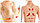 Корректор груди и осанки Экстрим бра размер L, фото 2