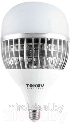 Лампа Tokov Electric 100Вт HP 6500К E40/Е27 176-264В / TKE-HP-E40/E27-100-6.5K - фото 1 - id-p223431031