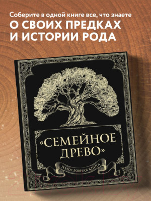 Родословная книга Эксмо Семейное древо - фото 4 - id-p222045679