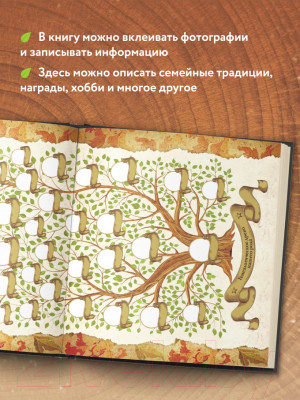 Родословная книга Эксмо Семейное древо - фото 5 - id-p222045679