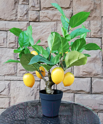 Искусственное растение ForGarden Дерево Lemon Tree / FGN BF00575 - фото 1 - id-p223471186