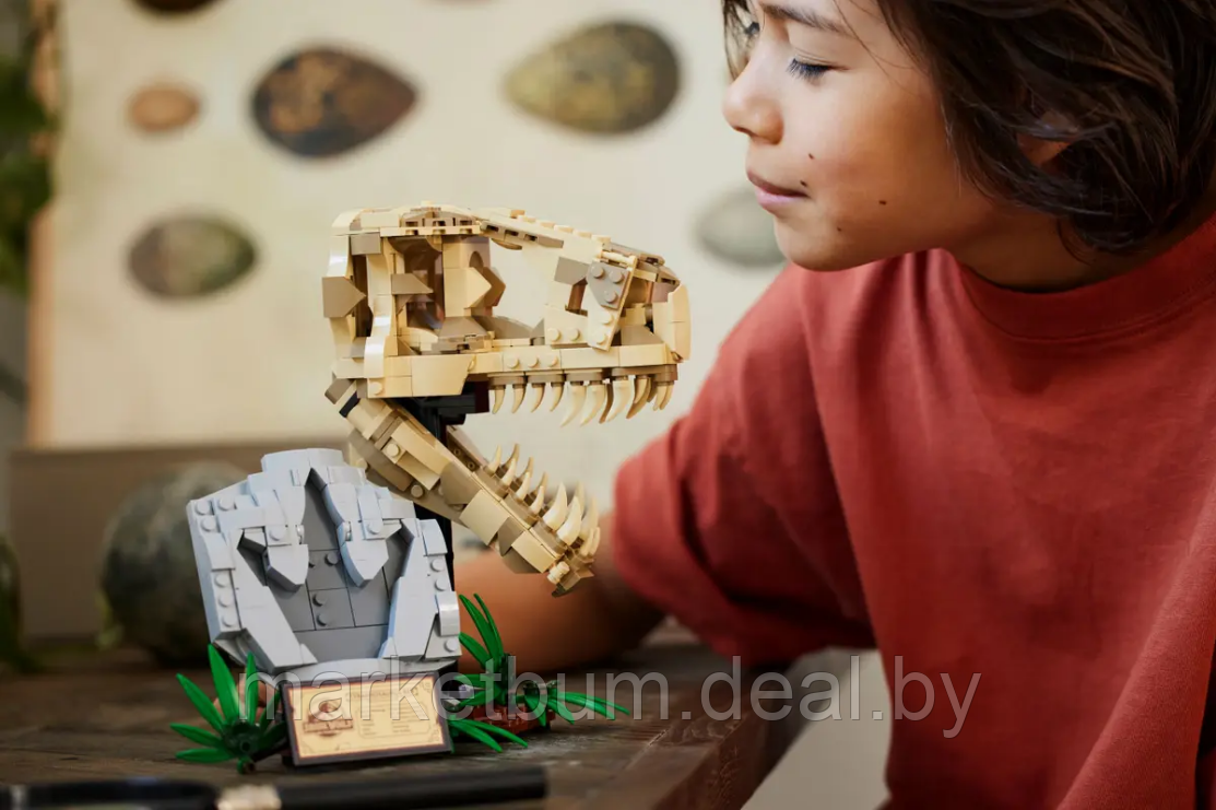 Конструктор LEGO Jurassic World 76964,Череп тираннозавра - фото 7 - id-p223478777