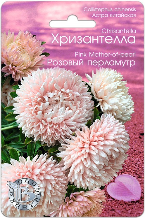 Астра китайская Хризантелла "Розовый перламутр", 30 шт. "Биотехника", РФ