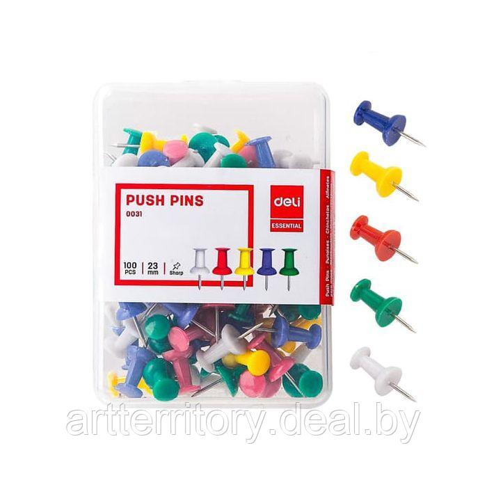 Кнопки канцелярские цветные DELI Е0031 (100 штук, в пластиковам боксе) - фото 2 - id-p223484873