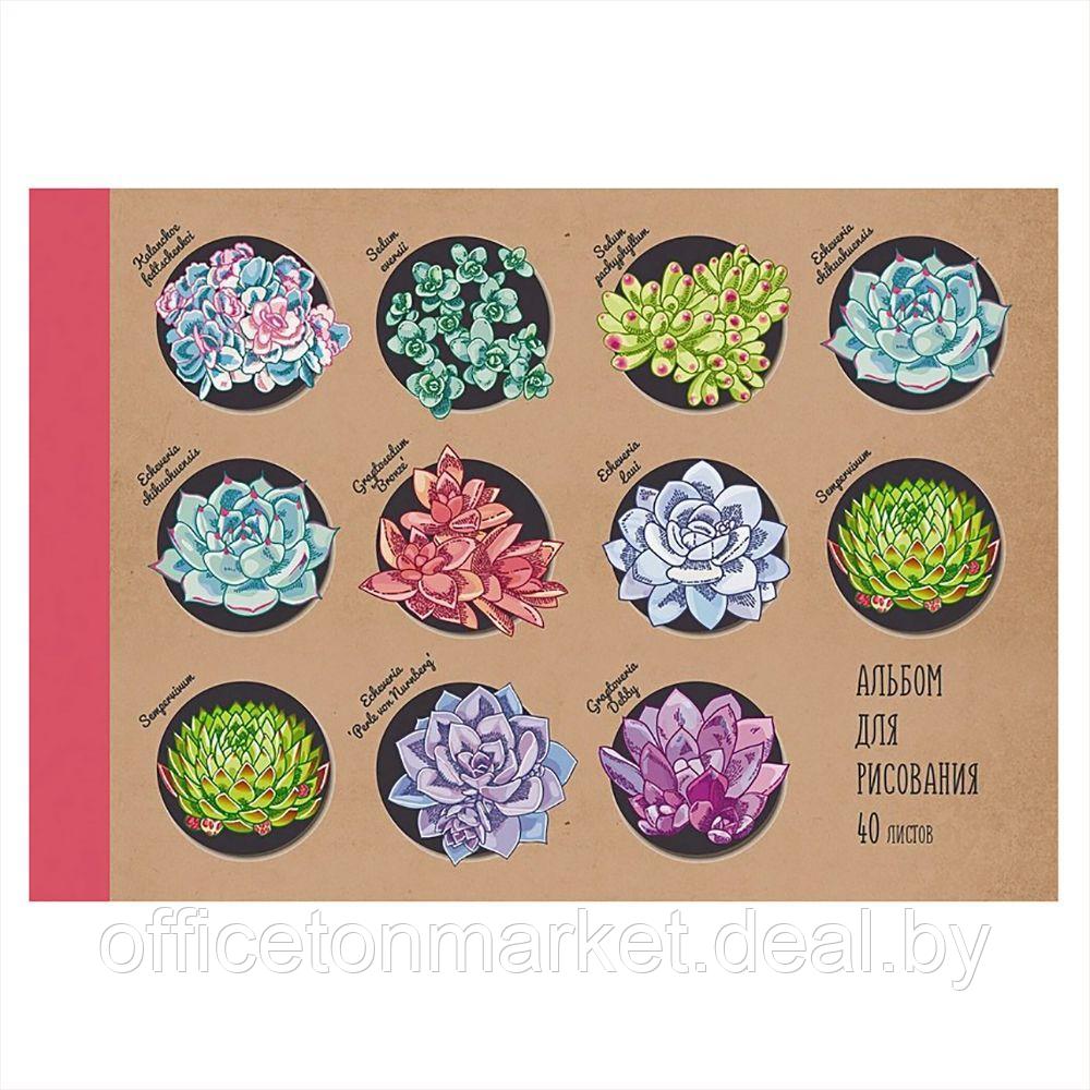 Альбом для рисования "Коллекция цветов", A4. 40 листов, склейка - фото 1 - id-p221585043