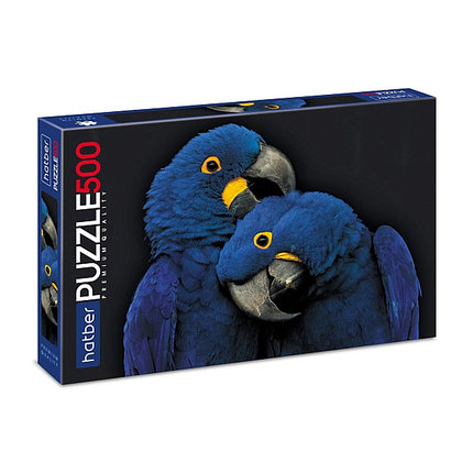 Два синих попугая. Пазл Hatber Premium 500 элементов, фото 2