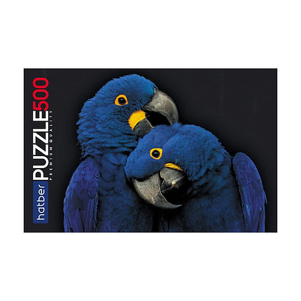 Два синих попугая. Пазл Hatber Premium 500 элементов, фото 2