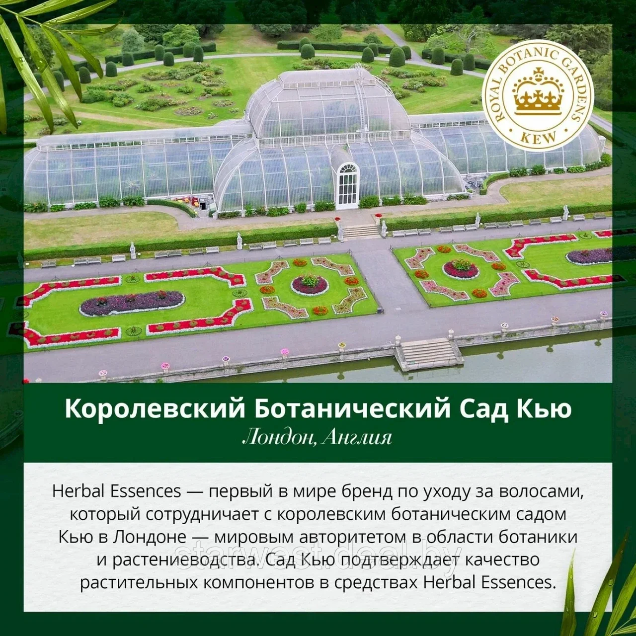 Herbal Essences Интенсивное Восстановление Аргановое Масло 250 мл Маска для волос восстанавливающая - фото 7 - id-p215073588