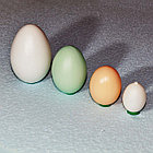 Яйцо подкладное голубиное, фото 2