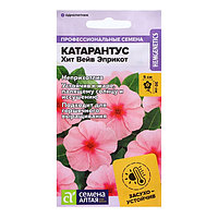 Катарантус Хит Вейв Эприкот 7шт Семена Алтая