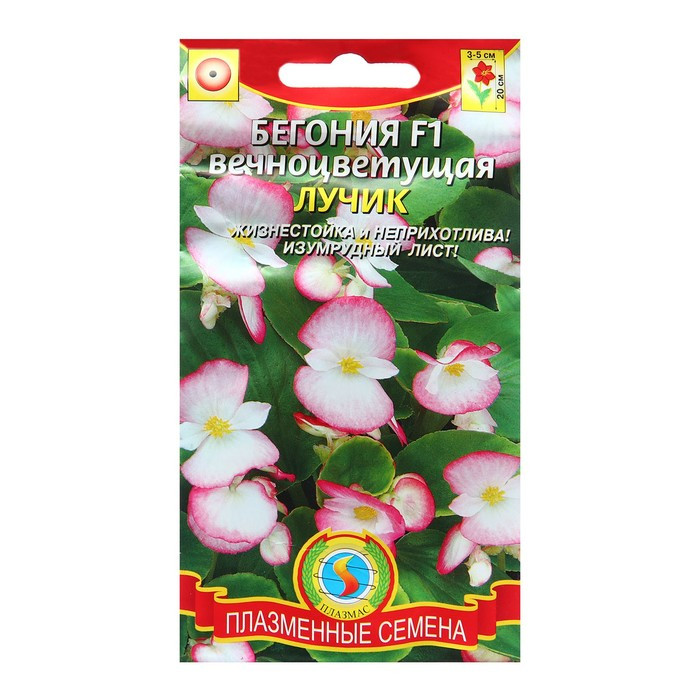 Бегония вечноцветущая Лучик 5г Плазмас