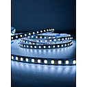 Холодный цвет 9,6w 12v, 120LED IP20 (CRI85, 3М скотч), 1 год гарантии, 5 метров 2835 светодиодная лента, фото 2