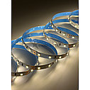 Нейтральный цвет 4,8w 12v, 60LED IP20, 1 год гарантии, 5 метров 2835 светодиодная лента, фото 3